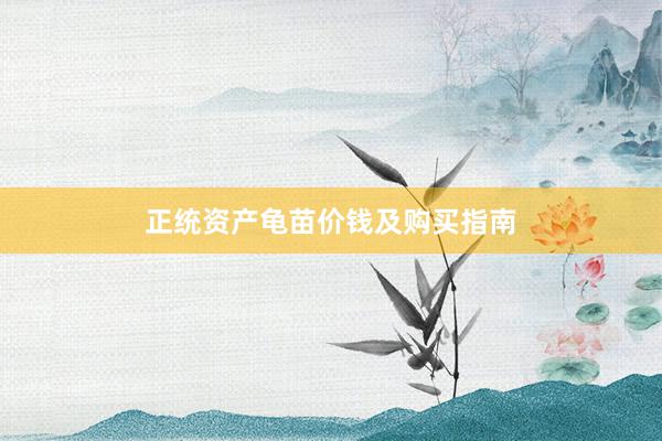正统资产龟苗价钱及购买指南